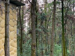 -象山森林公园