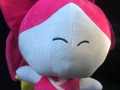 -西双版纳融创皇冠假日度假酒店