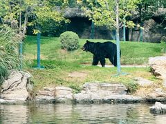 -北京野生动物园