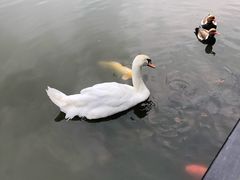 -呀诺达热带雨林