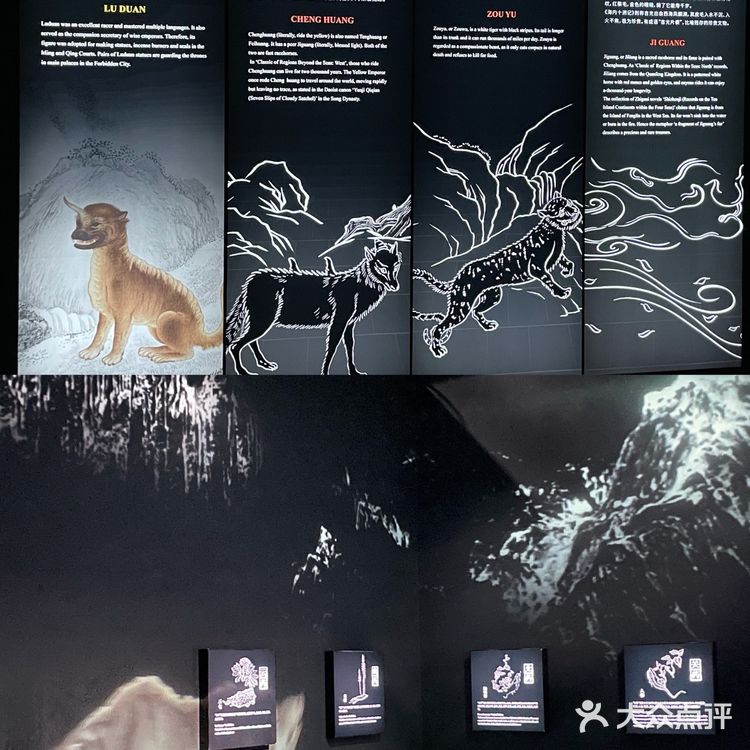 杭州新展|⛩故宫里的神兽世界🐅敲好拍