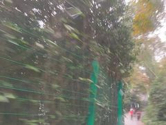 -西湖风景区-江洋畈生态公园