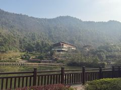 -桃花岭景区