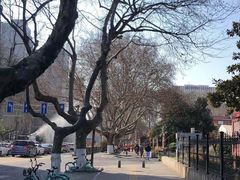 -南京钟山宾馆(江苏省会议中心)