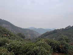 -十里琅珰