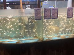 -丹江渔村(首都机场店)