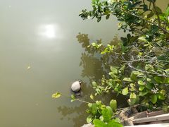 -润记农家菜