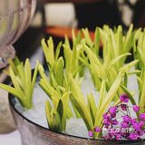 荔枝树下吃鸽子汤火锅，就到豆捞坊