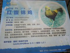 -深圳野生动物园
