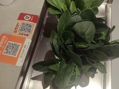 -宴全牛粤来越牛潮汕鲜牛肉火锅(海州万达广场店)