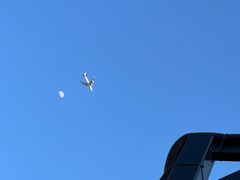 -梧桐餐厅(泉城路店)