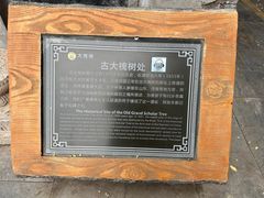 -大槐树寻根祭祖园