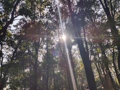 -火炉山森林公园