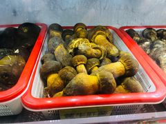 -菌海森林·非遗野生菌火锅(西山区滇池路摩根道店)