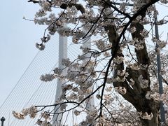 -上海南浦大桥长途旅游客运站