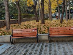 -元大都城垣遗址公园