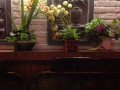 -张氏宽窄巷成都名小吃(茂业百货华强北店)