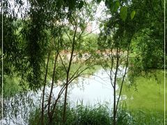 -长白岛森林公园