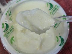 德禄酸奶-德禄酸奶(莫家街店)