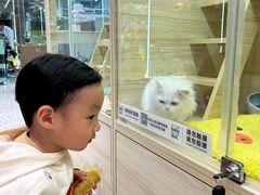 -上海尚嘉中心