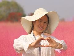 -金卉庄园
