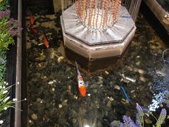 -静之湖湖畔餐厅