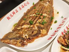 -蛇口康乐快餐鱼仔档(翠苑小区店)