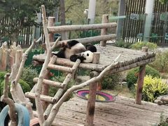 -大连森林动物园