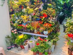 -三旗百汇商品城