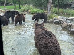 -北京野生动物园