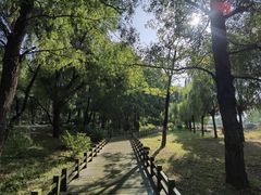 -长春市南湖公园