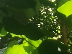 -逸仙华庭