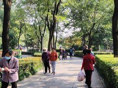 -莲湖公园