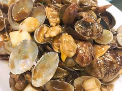 -大湾区中央湿地公园-十九涌