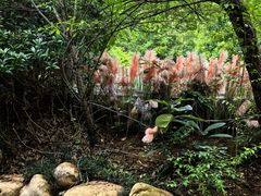 -万象温泉景区