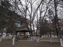 -长春市十一高中