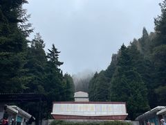 -井冈山革命烈士陵园