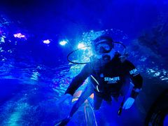 -沈阳海洋探索中心