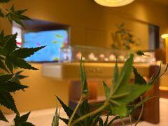 -chuchulab日式短蛋糕(粤海天地店)