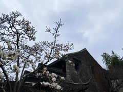 -何园