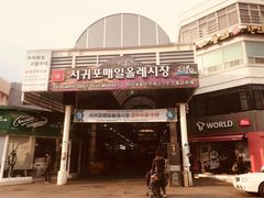 -西归浦每天偶来市场