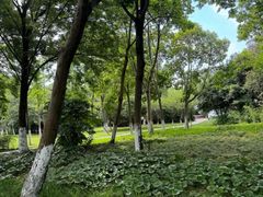-院士公园