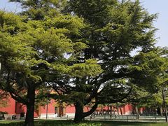 -北京市劳动人民文化宫(太庙)