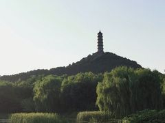 -北坞公园