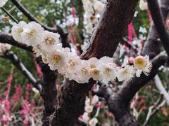 -静安雕塑公园
