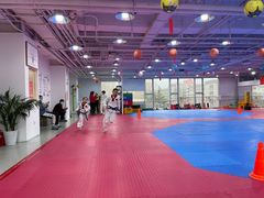 -陈中跆拳道(中关村馆)