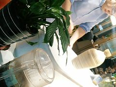 -刘一锅筋头巴脑(千峰路店)