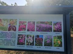 -东莞植物园
