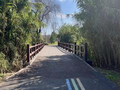 -白鹭湾湿地公园