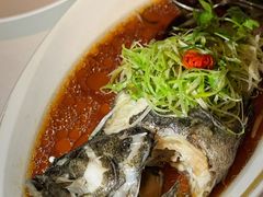 -金轩中餐厅 Jin Xuan(浦东丽思卡尔顿酒店)